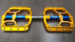  CXWXC platform pedl srga